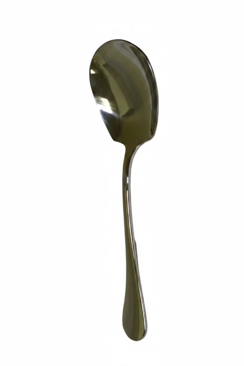 Stainless Steel Spoon