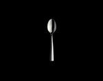Stainless Steel Spoon