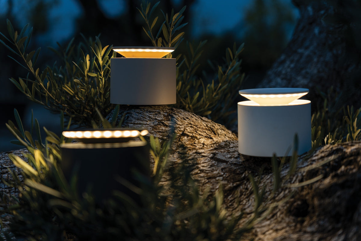 SC Hospitality Push-Up table lamps in sand finish glowing on a textured tree trunk in an outdoor garden setting