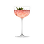 SC Hospitality Tone small cocktail coupe glass filled with a pink drink, ice, and mint garnish on a white background.