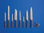 SC Hospitality Wüsthof Classic Wild Blueberry knife set with stainless steel blades on a blue background